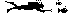 Picture 10677